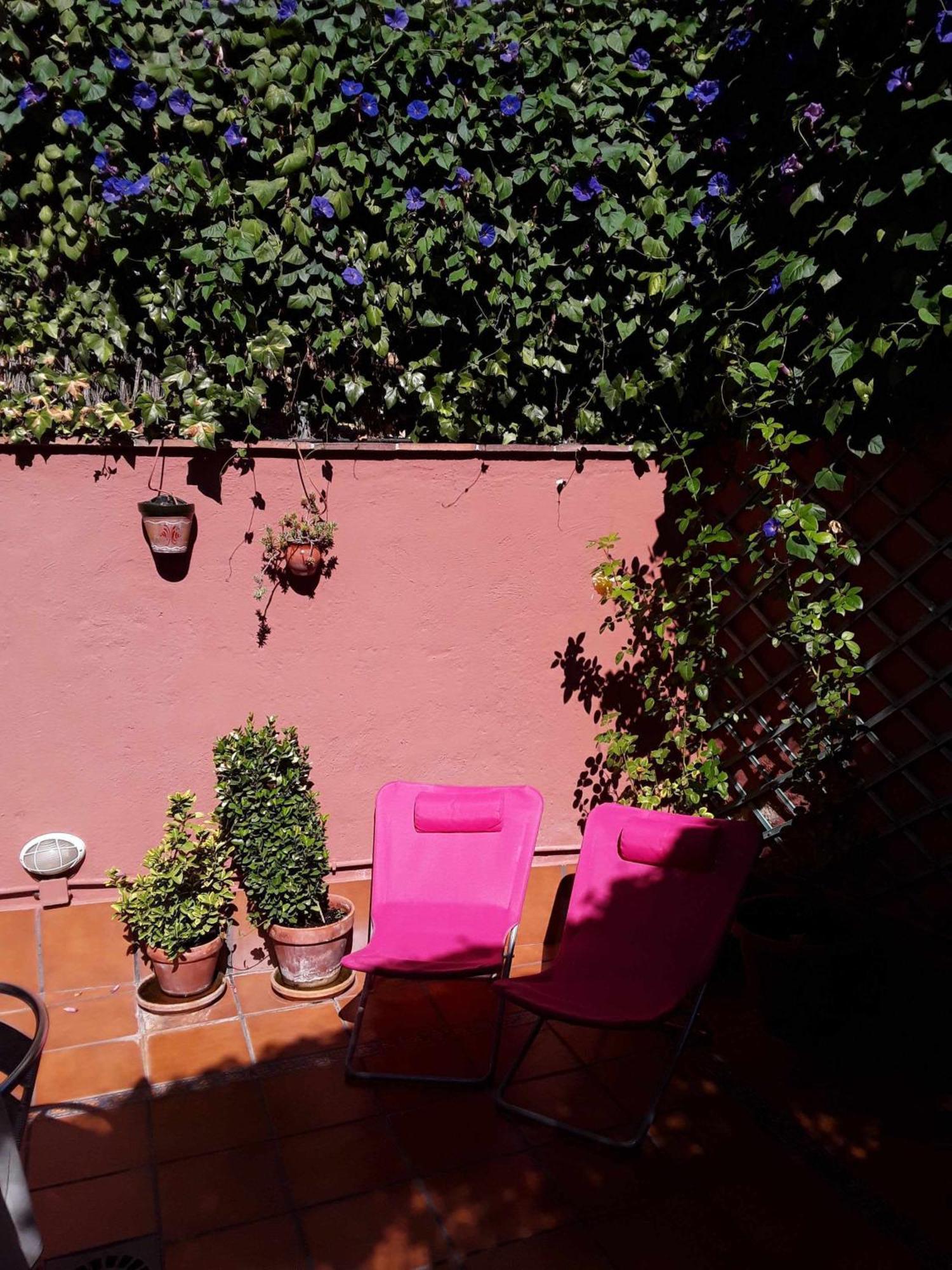 Viviendas Turisticas Los Arrayanes Ronda Room photo